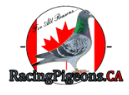 Racing Pigeons Canada-Logo